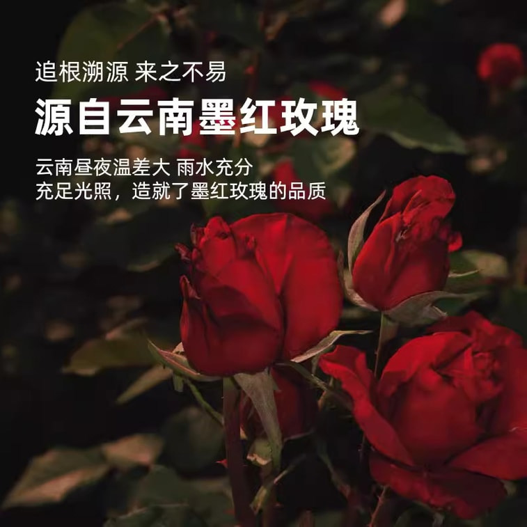 ZEW Ink Red Rose Tea - Image 7